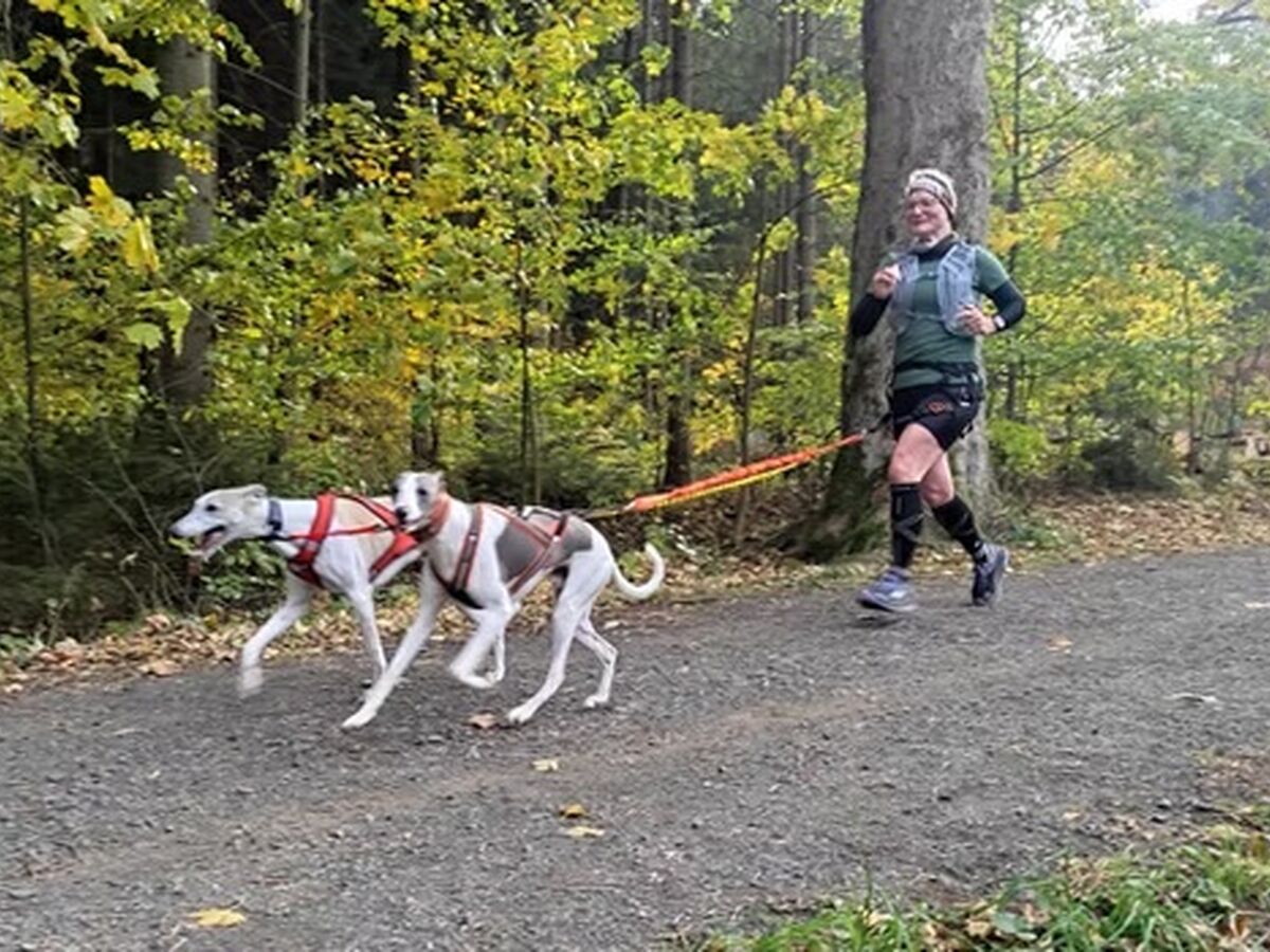 O-SEE Canicross 18. Oktober 2026