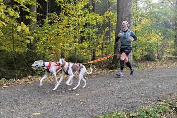 O-SEE Canicross 3k (3,1 km)