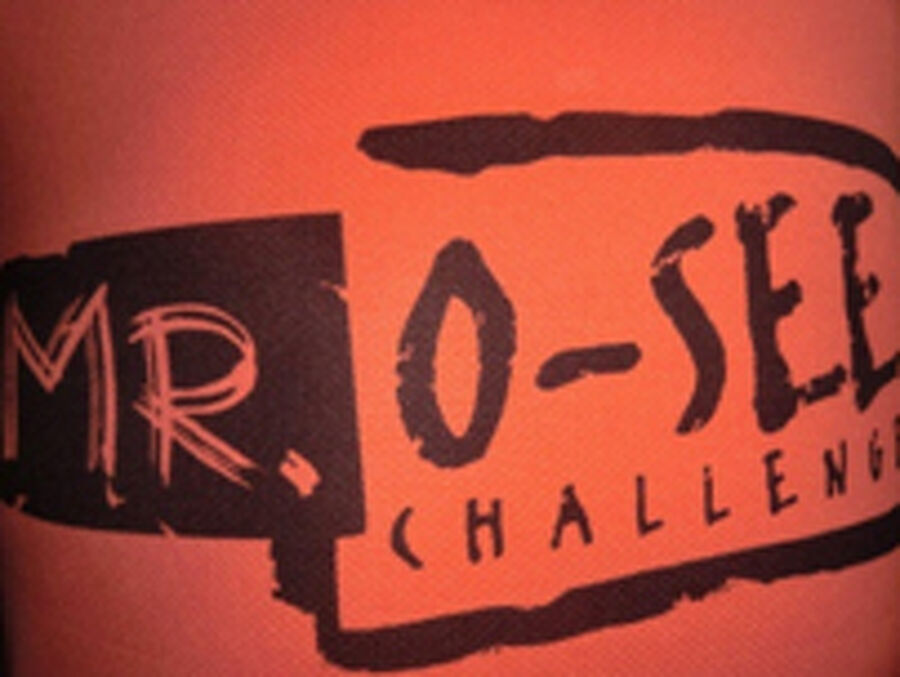 O-SEE Challenge 2015 – Galerie