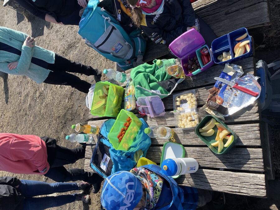 Frühlingswanderung mit Rutschpartie - Galerie