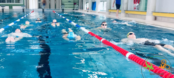 Schwimmseminar mit Rainer Mehlhorn